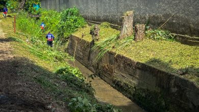Gestión Elizabeth Niño prolonga despliegue de limpieza y mantenimiento de canales en Naguanagua