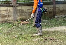 Alcaldía de Guacara desplegó operativo integral de saneamiento en escuelas del municipio