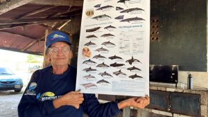 Pescadores del Zulia se forman en avistamiento de mamíferos marinos