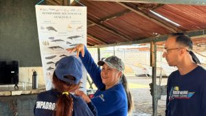 Pescadores del Zulia se forman en avistamiento de mamíferos marinos
