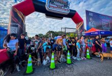 El Kninoton 2026 llenó de alegría, deporte y sano esparcimiento a Naguanagua
