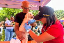 En Naguanagua celebraron el Día Mundial de los Animales con jornada veterinaria en el parque El Samán