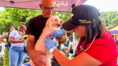 En Naguanagua celebraron el Día Mundial de los Animales con jornada veterinaria en el parque El Samán