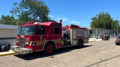 En el Zulia bomberos y Alcaldía de San Francisco brindan atención a las afectaciones por árboles caídos