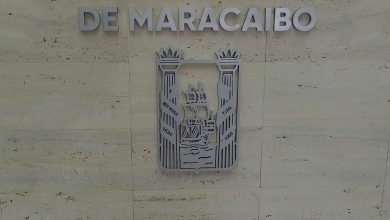 Aprueban histórica reforma a la Ordenanza de Protección Animal en Maracaibo
