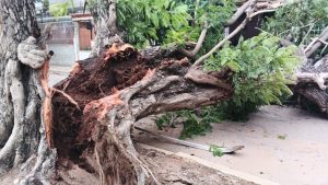 Alcalde de Maracaibo Giancarlo Di Martino: "Activamos nuestro protocolo de emergencia"
