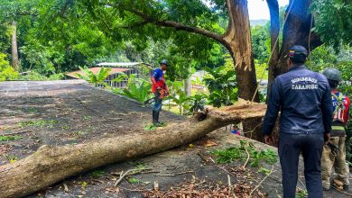 Gestión Elizabeth Niño desplegó cuadrillas para atender emergencias por lluvias y fuertes vientos en Naguanagua