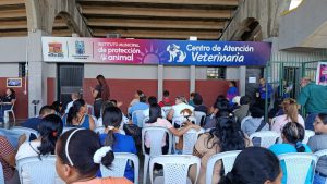 Instituto Municipal de Protección Animal cuenta con propia farmacia