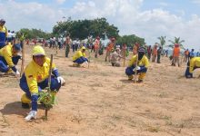Ministro de Ecosocialismo Nelson Rodríguez encabeza jornada de siembra en la Vereda del Lago en Maracaibo