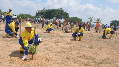 Ministro de Ecosocialismo Nelson Rodríguez encabeza jornada de siembra en la Vereda del Lago en Maracaibo